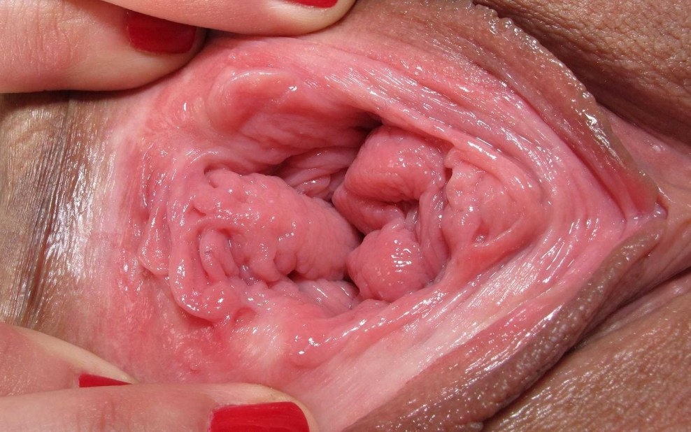 Frauenvagina von innen